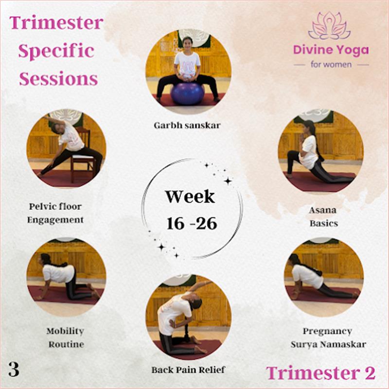 Sports & Coaching - Makkalcare - Business Classfied