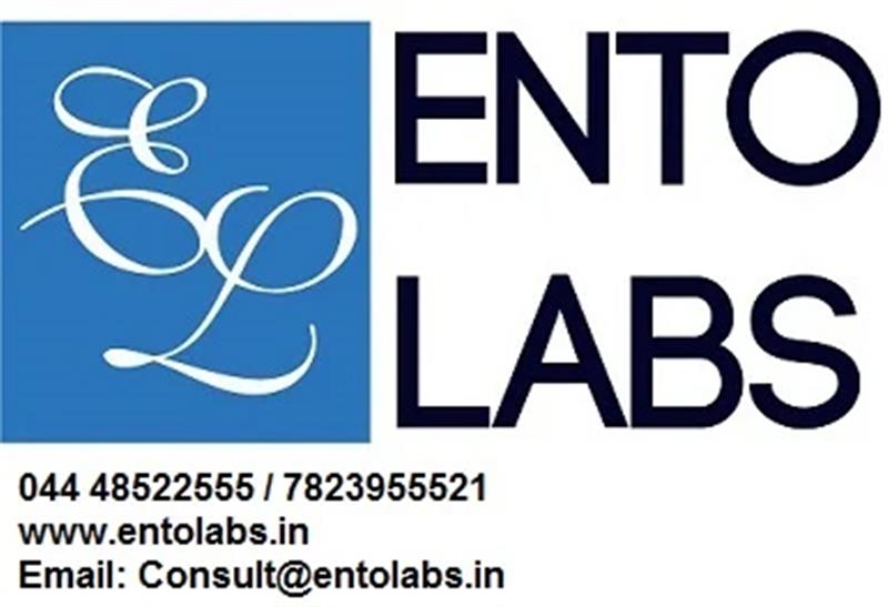 A to Z Services - Makkalcare - Business Classfied