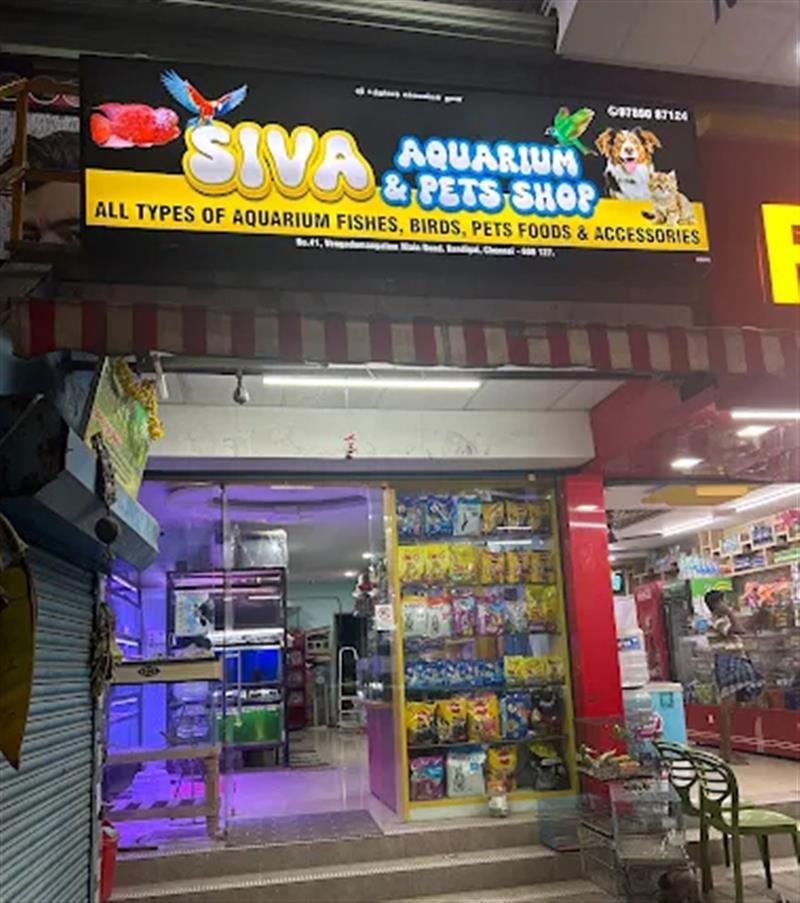 Shop & Dealers - Makkalcare - Business Classfied