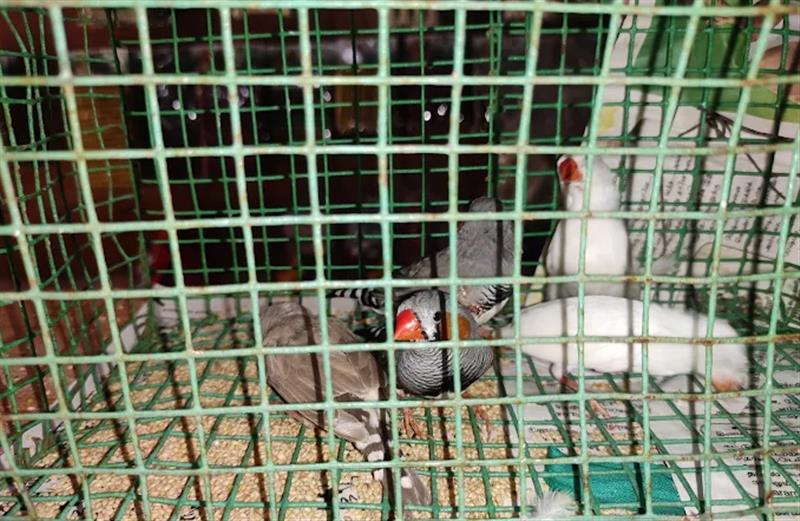 Shop & Dealers - Makkalcare - Business Classfied