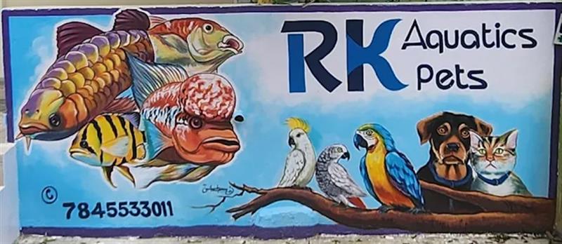 Shop & Dealers - Makkalcare - Business Classfied