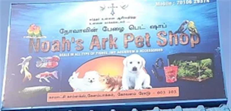 Shop & Dealers - Makkalcare - Business Classfied