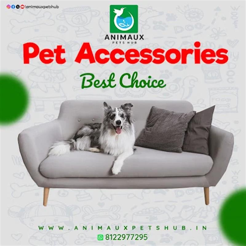 Shop & Dealers - Makkalcare - Business Classfied