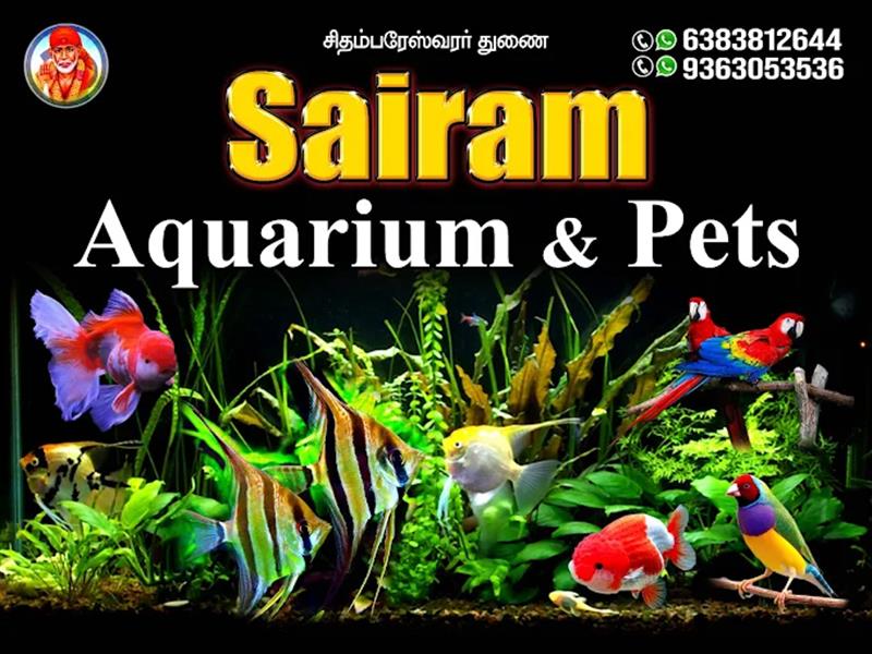 Shop & Dealers - Makkalcare - Business Classfied