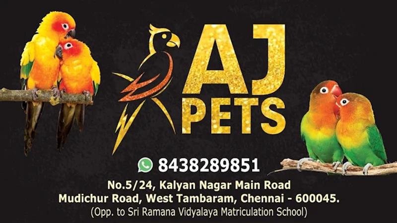 Shop & Dealers - Makkalcare - Business Classfied