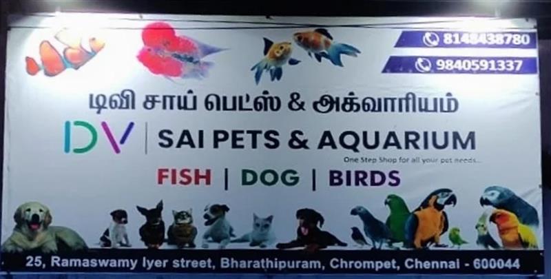 Shop & Dealers - Makkalcare - Business Classfied