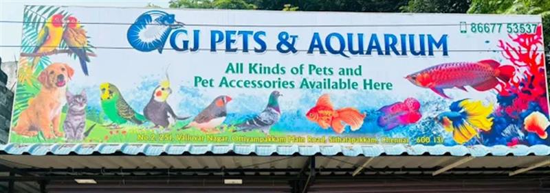 Shop & Dealers - Makkalcare - Business Classfied