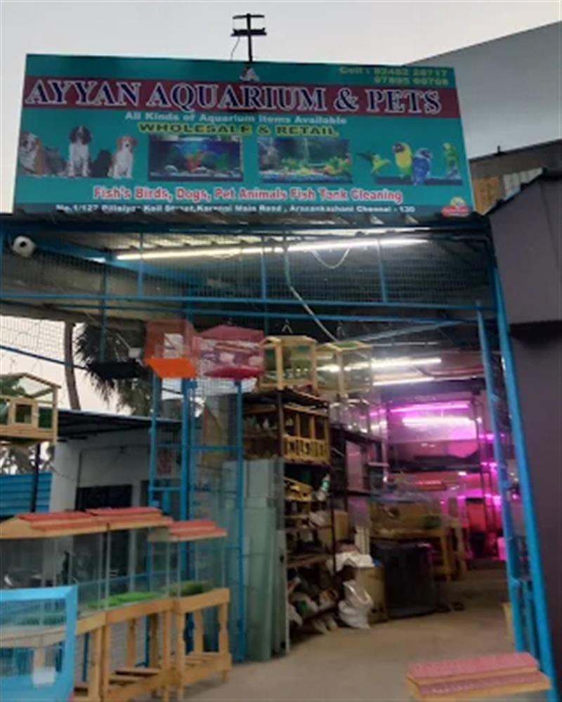 Shop & Dealers - Makkalcare - Business Classfied